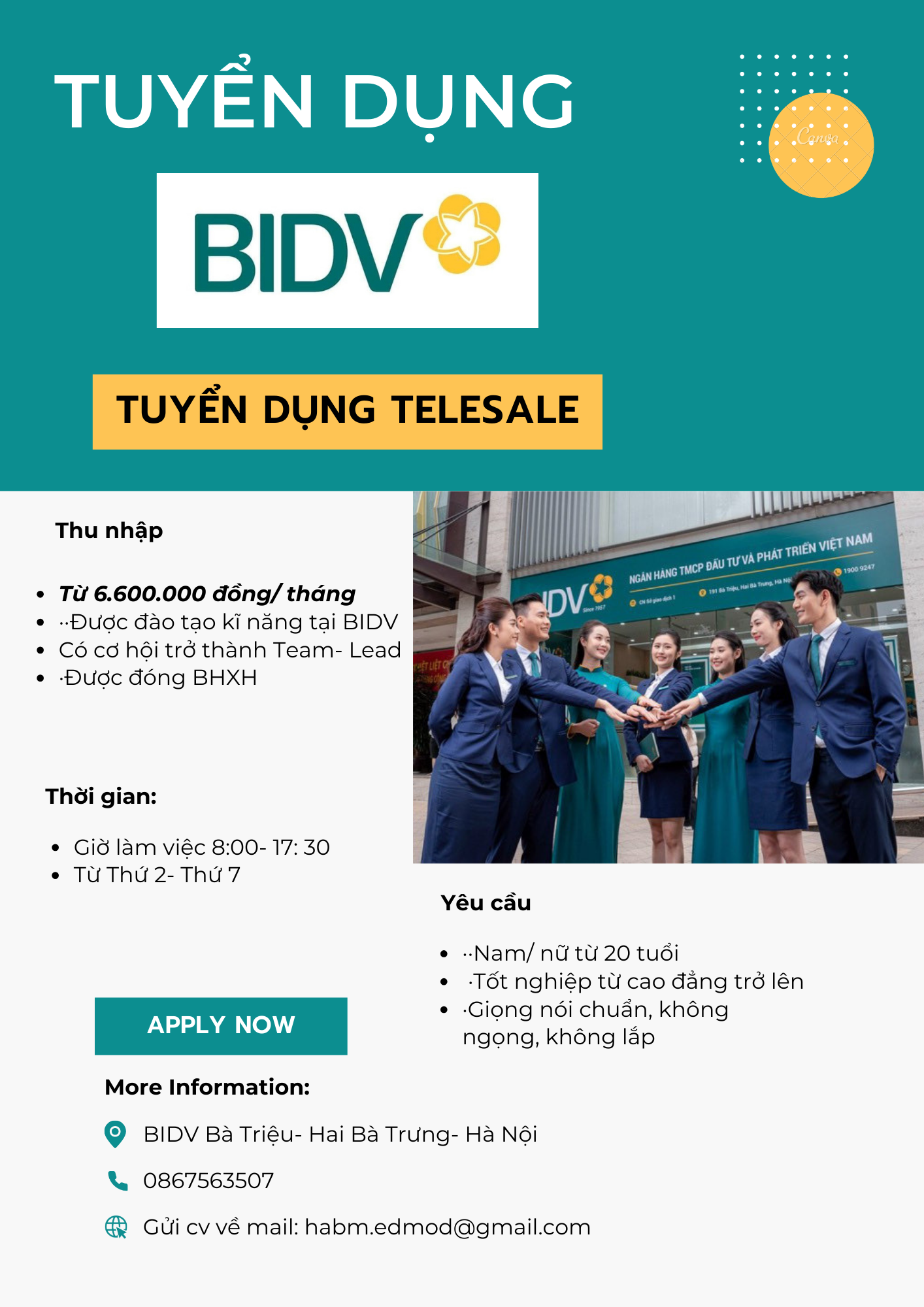 lĩnh vực hoạt động